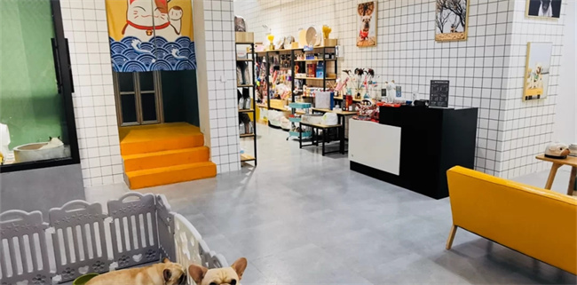 120平簡約風寵物店裝修設(shè)計